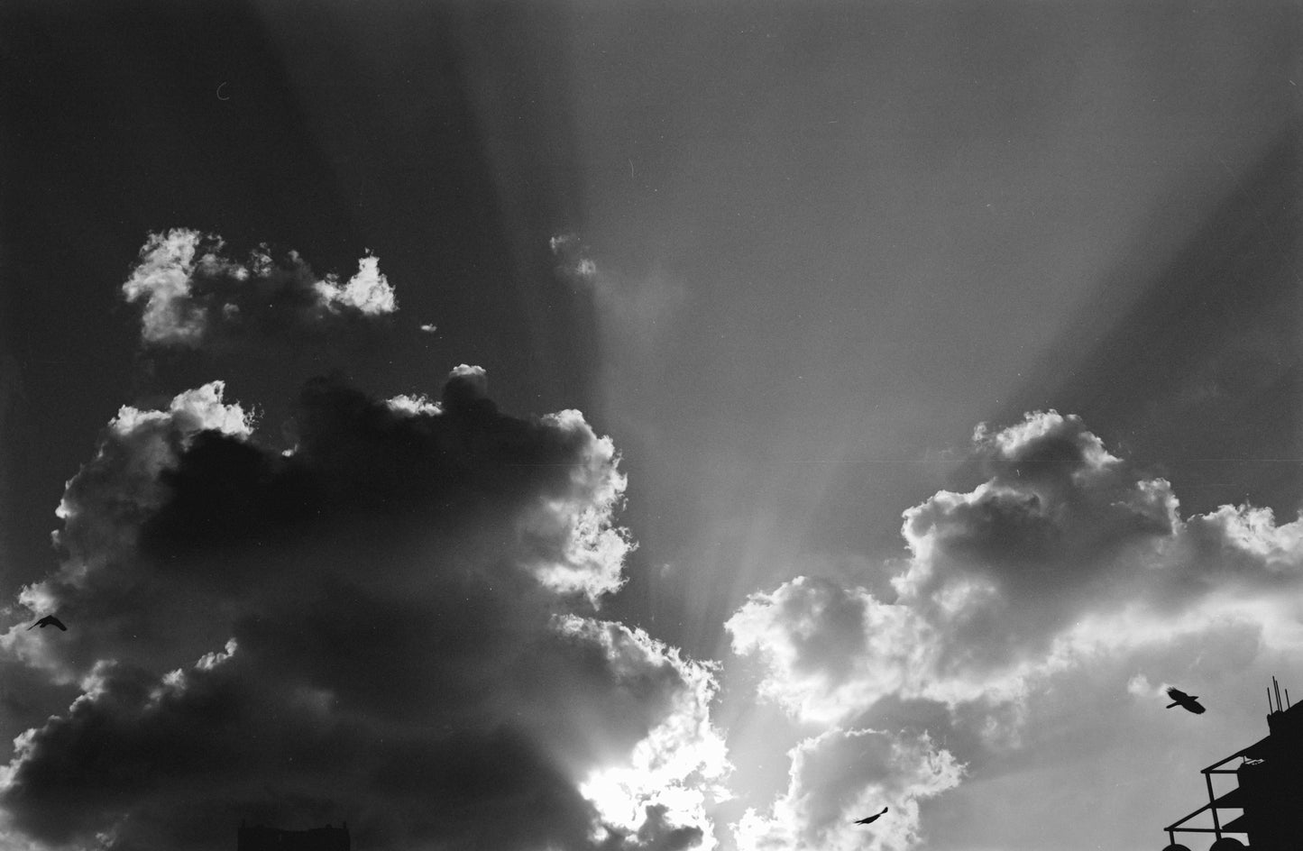 CAS Black Metropolis 100/200 - Experimental B&W ECN2 35mm Film - 27 Exposures