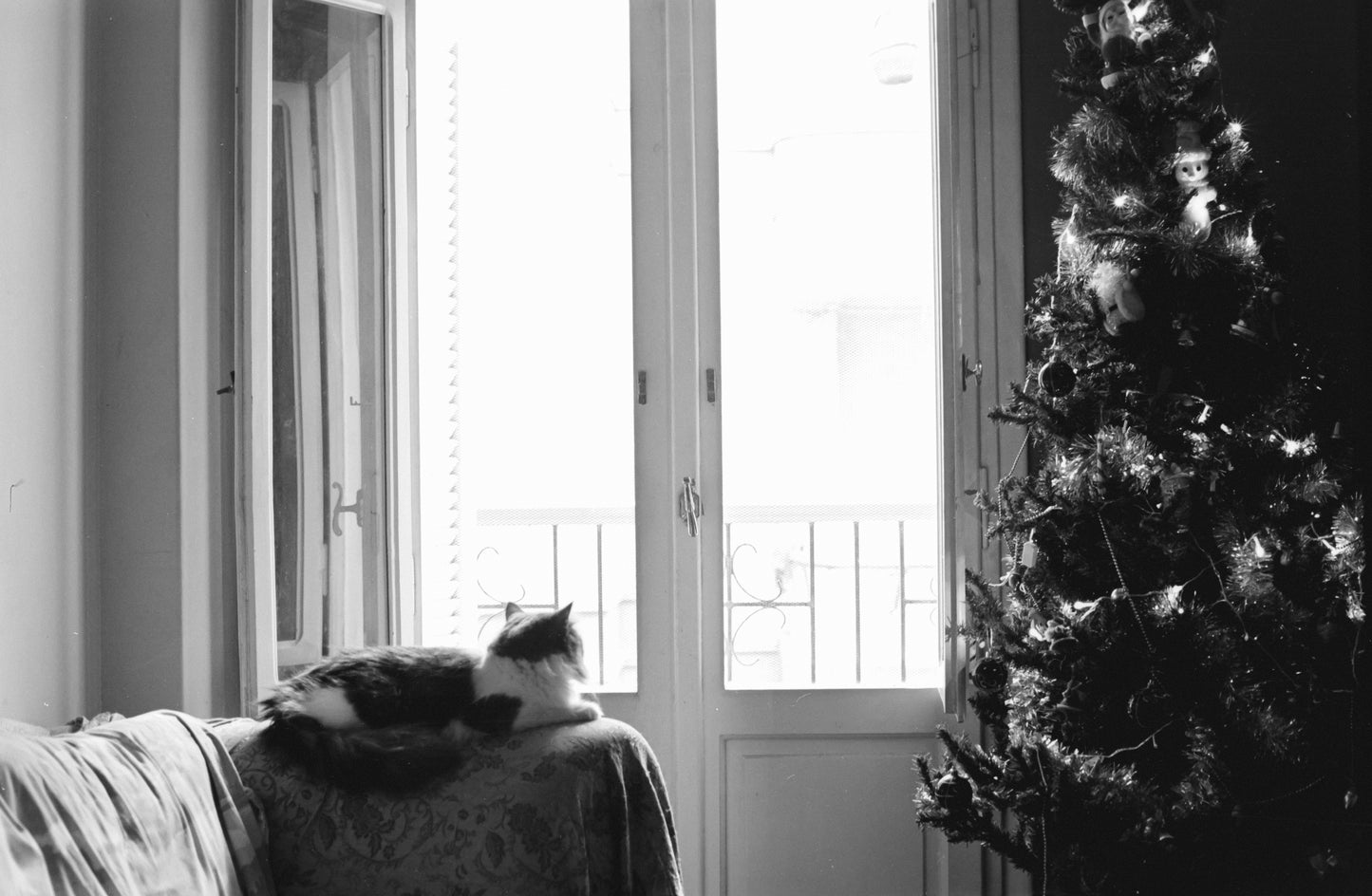 CAS Black Metropolis 100/200 - Experimental B&W ECN2 35mm Film - 27 Exposures