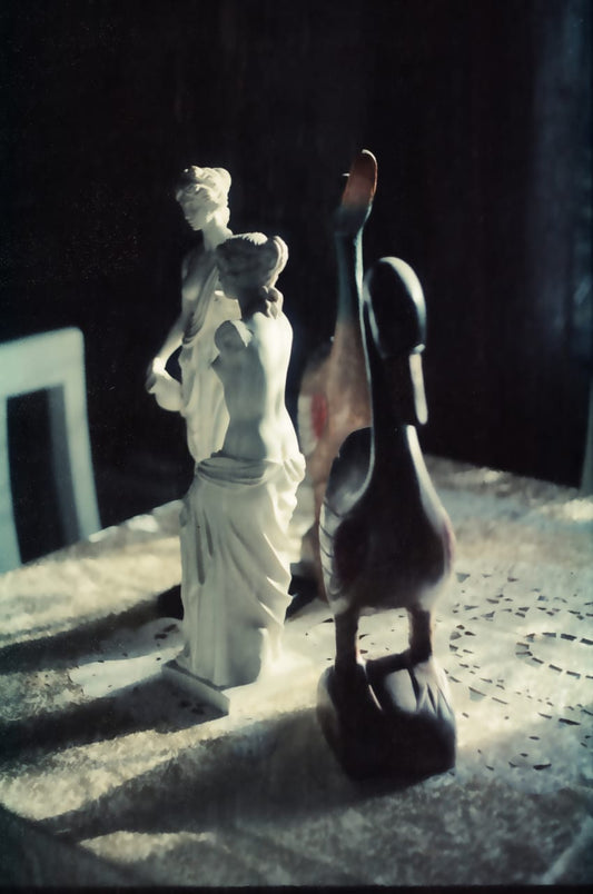 Daydream 200T - Experimental ECN2 Film - 27 Exposures